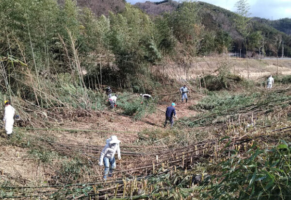 竹を伐採し片付け処理をする人々