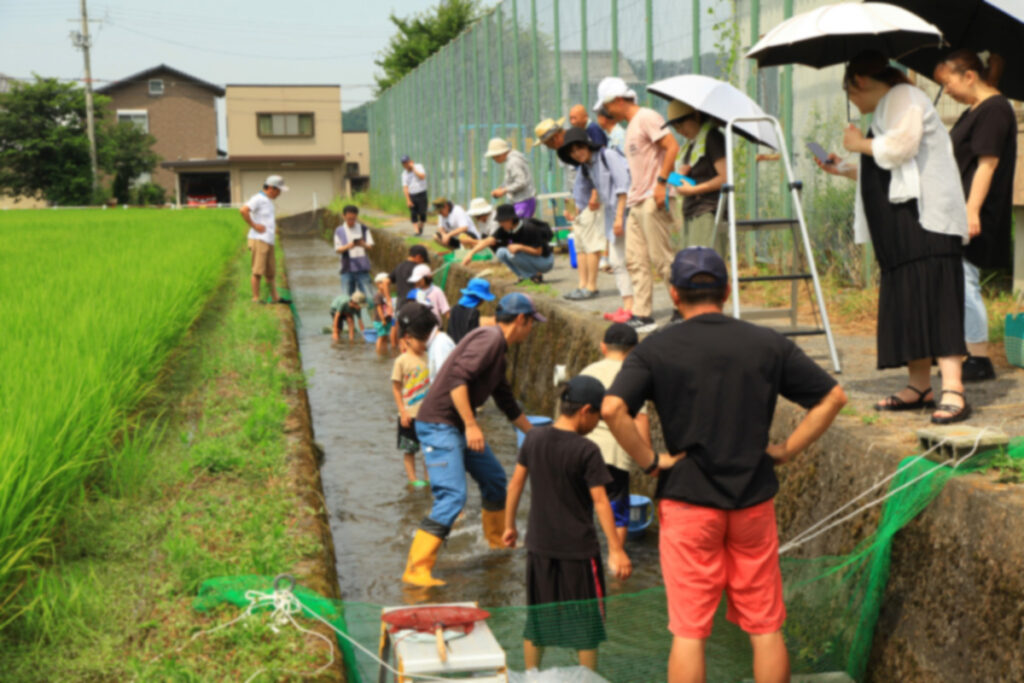 鮎を掴まようとする子ども達と見守る大人たち